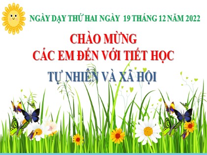 Bài giảng Tự nhiên và xã hội Lớp 2 sách Kết nối tri thức với cuộc sống - Ôn tập chủ đề cộng đồng địa phương - Tiết 2