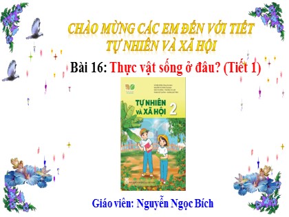 Bài giảng Tự nhiên và xã hội Lớp 2 sách Kết nối tri thức với cuộc sống - Bài 16: Thực vật sống ở đâu? - Tiết 1