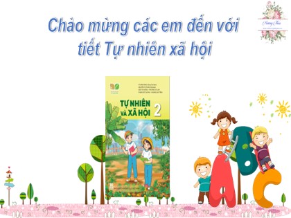 Bài giảng Tự nhiên và xã hội Lớp 2 sách Kết nối tri thức với cuộc sống - Bài 21: Tìm hiểu cơ quan vận động