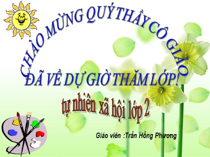 Bài giảng Tự nhiên và xã hội Lớp 2 sách Kết nối tri thức với cuộc sống - Bài 5: Ôn tập chủ đề gia đình