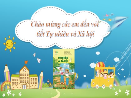 Bài giảng Tự nhiên và xã hội Lớp 2 sách Kết nối tri thức với cuộc sống - Bài 16: Thực vật sống ở đâu - Tiết 2