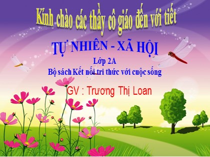 Bài giảng Tự nhiên và xã hội Lớp 2 sách Kết nối tri thức với cuộc sống - Bài 13: Hoạt động giao thông - Tiết 1