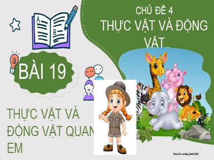 Bài giảng Tự nhiên và xã hội Lớp 2 sách Kết nối tri thức với cuộc sống - Bài 19: Thực vật và động vật quanh em