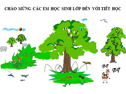 Bài giảng Tiếng Việt Lớp 2 sách Chân trời sáng tạo - Tuần19: Khu vườn tuổi thơ - Tiết 3