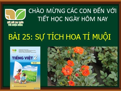 Bài giảng Tiếng Việt Lớp 2 sách Kết nối tri thức với cuộc sống - Bài 25: Sự tích hoa tỉ muội