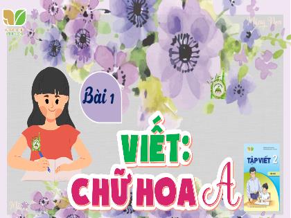 Bài giảng Tiếng Việt 2 (Kết nối tri thức với cuộc sống) - Bài 1: Tôi là học sinh lớp 2 - Viết: Chữ hoa A