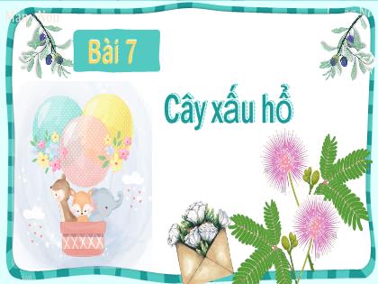 Bài giảng Tiếng Việt 2 (Kết nối tri thức với cuộc sống) - Bài 7: Cây xấu hổ - Tiết 1, Đọc: Cây xấu hổ