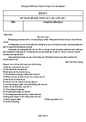 Tổng hợp 94 Đề ôn hè Tiếng Việt Lớp 2 lên 3 (Có đáp án)